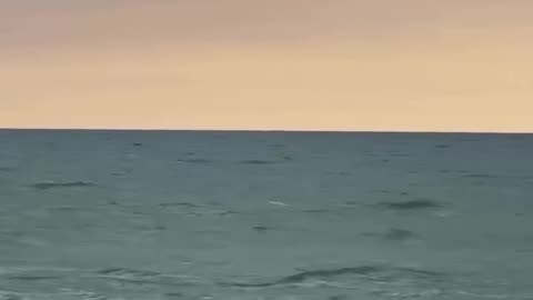 She wants attention on the beach