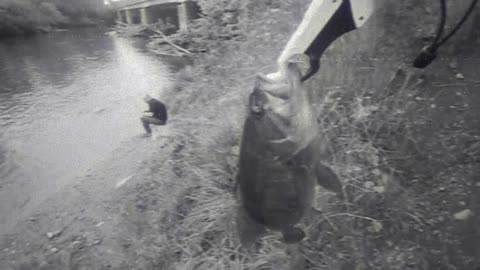 WP Fishing