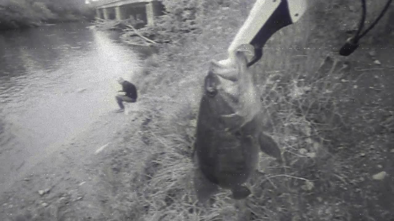 WP Fishing