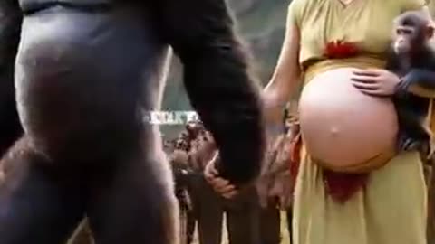 monkey got lady pregnant