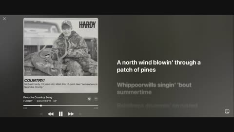 Country Music Mix