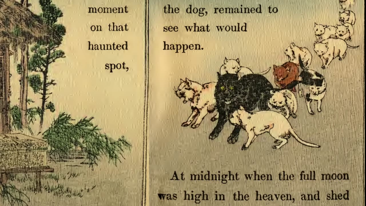 Schippeitaro - Fairy Tale