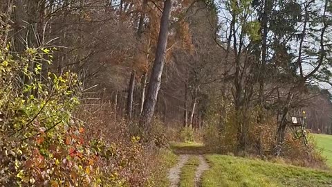 Manufactured scarcity as a form of class warfare for social control