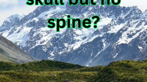 Animal with no spine?