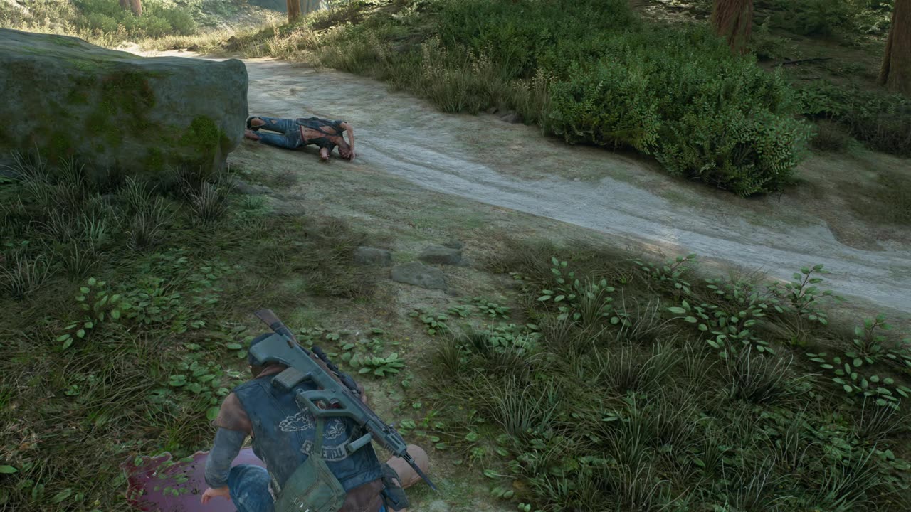 Days Gone - 22