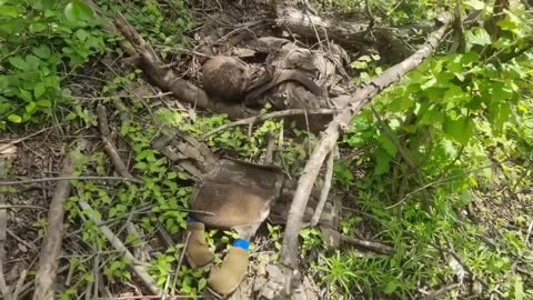 Ukraine war raw footage 5/31/25