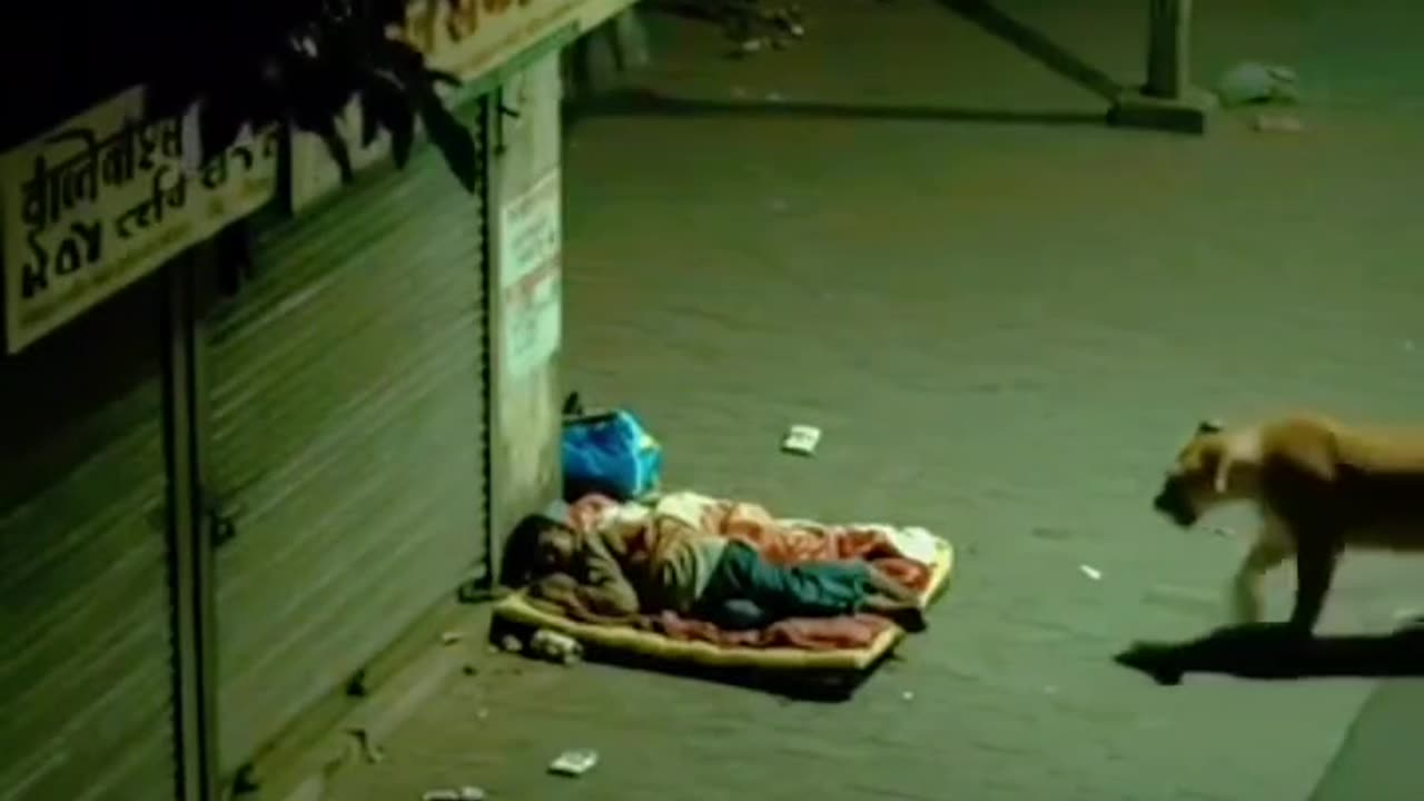 At night no idea what gone fear near 🦁