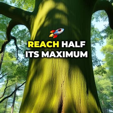 The Tree Growth Mystery