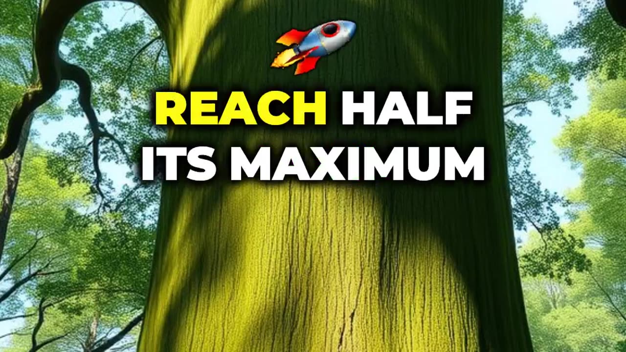 The Tree Growth Mystery