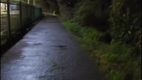 Scream Mask Scare Fails BADLY 😂 Slips on Wet Floor & Hits Fence! #EpicFail #ScreamMask
