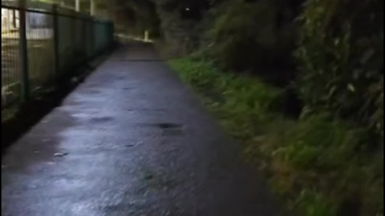 Scream Mask Scare Fails BADLY 😂 Slips on Wet Floor & Hits Fence! #EpicFail #ScreamMask