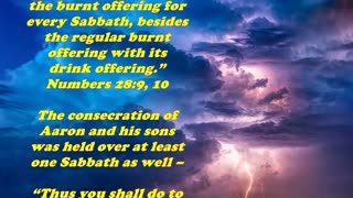 Matthew 12:5 - Daily Bible Verse Commentary