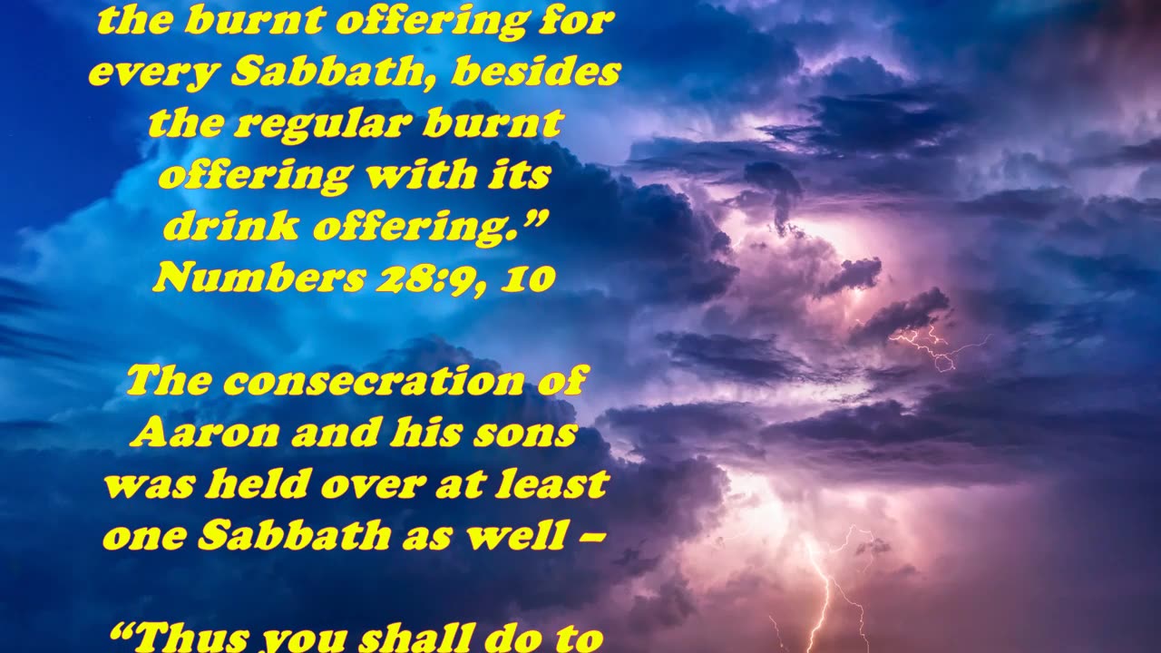 Matthew 12:5 - Daily Bible Verse Commentary
