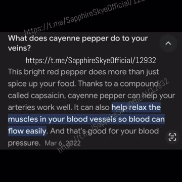 CAYENNE What You Didn’t Know & Need To Know