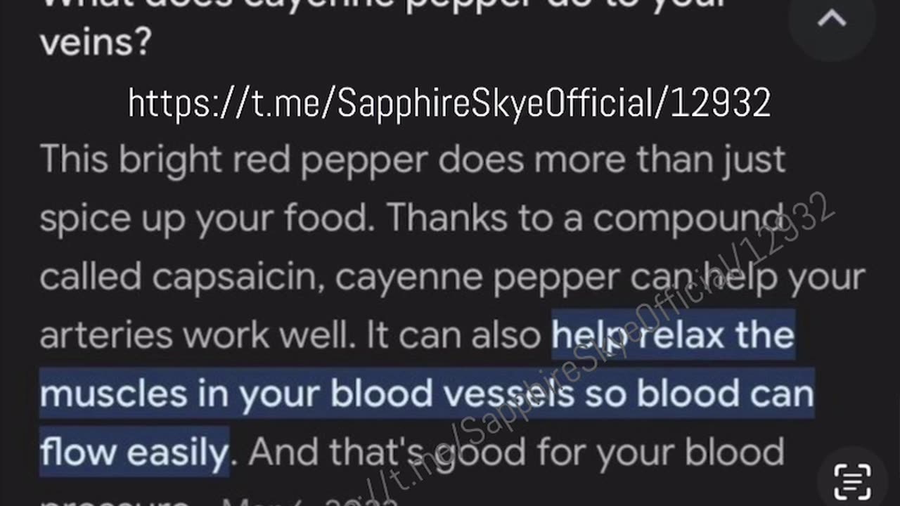 CAYENNE What You Didn’t Know & Need To Know