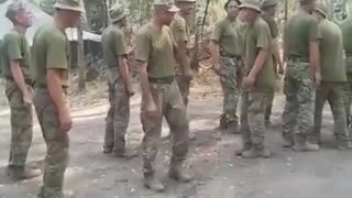 Brave Bus-Converted Warriors of Zelenskyy