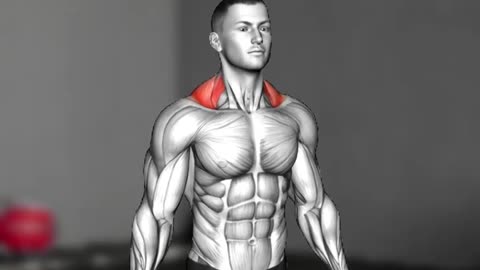 Best Back Workouts
