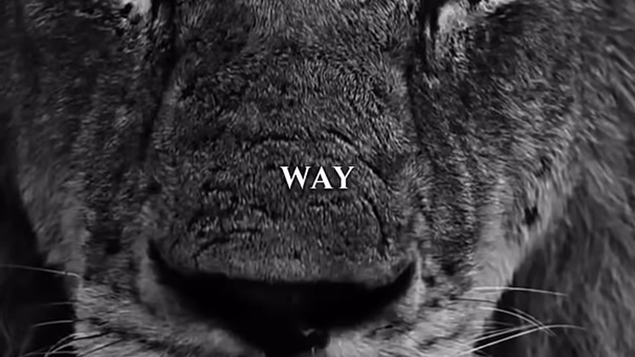Motivational Thursday - God will make a way