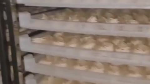 The food drying box