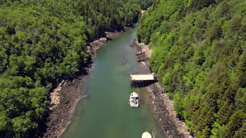 "History of Black River & Wharf Road: Indigenous Roots, Acadian Heritage & New Brunswick’s Growth"