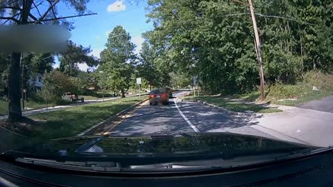 Woman Stubbornly Blocks Cars in Neighborhood