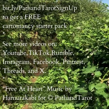 The Path to True Union | Path and Tarot Reading