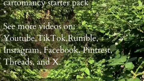 The Path to True Union | Path and Tarot Reading