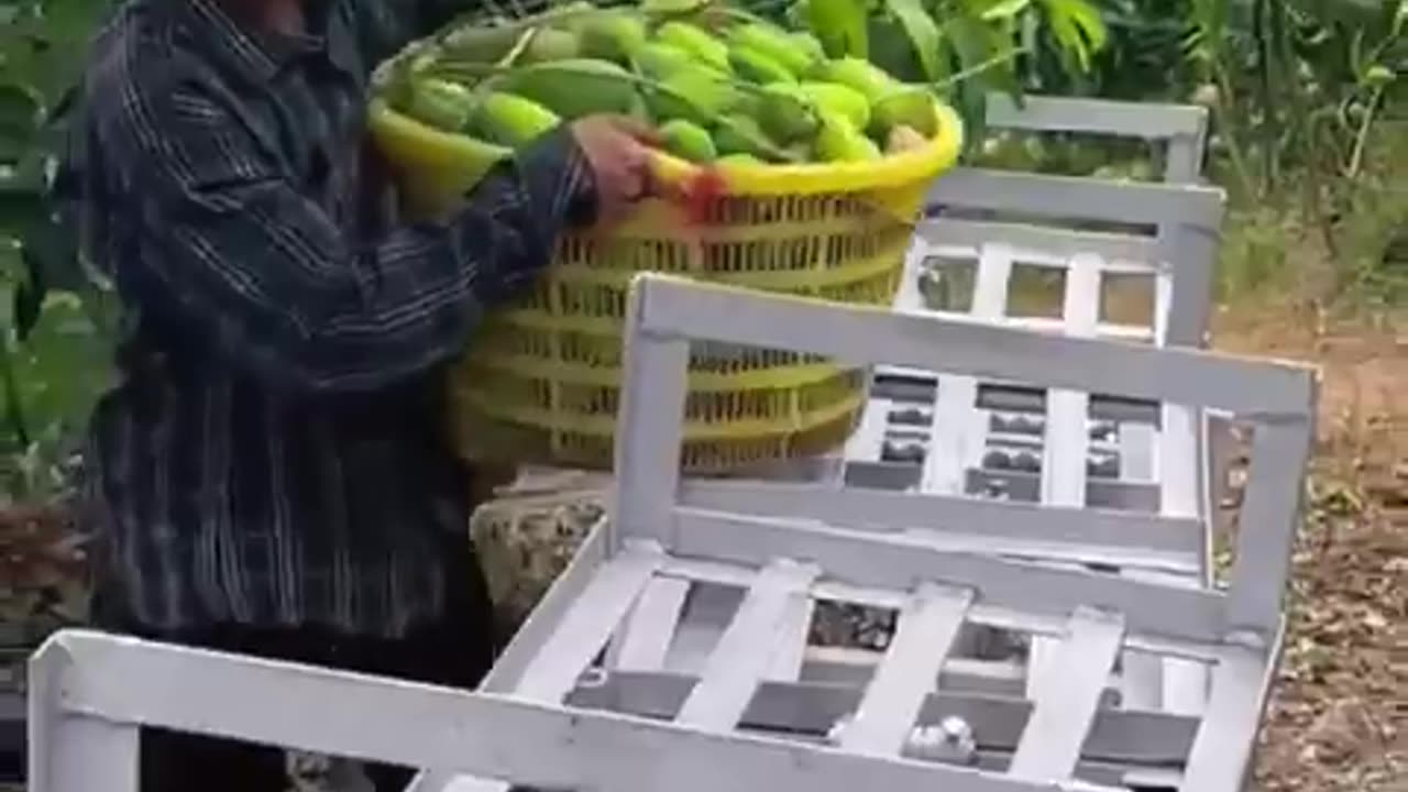 China's Mountain Rail Transport System for Farmers! ⛰️🌾