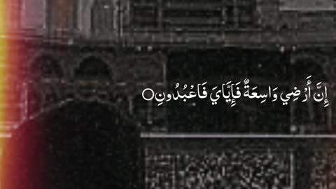 ALLAH IS THE BEST PLANNER