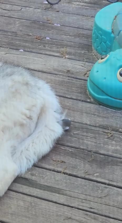 Robbery in broad daylight 🤣