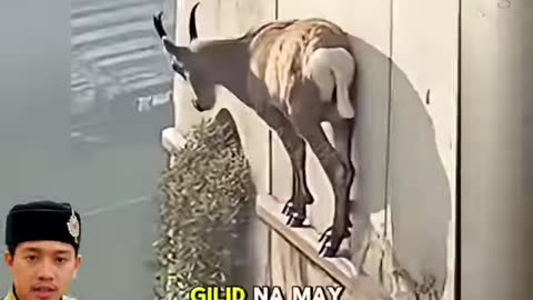 Totoo Kaya Ito?