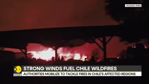 Authorities Battle Raging Wildfire In Chile | World News | WION