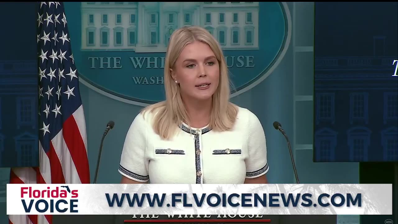 Karoline Leavitt says President Trump is not recommending the appointment of a special prosecutor to investigate the Epstein case