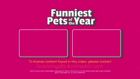 🤣 Funniest Pet Moments of the Year! |