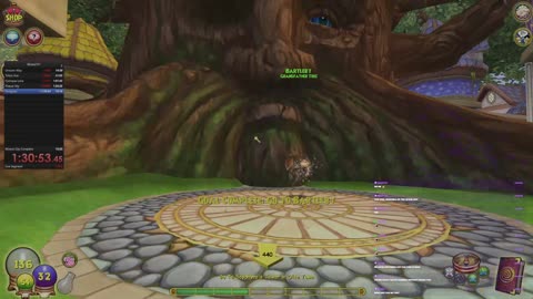 {Wizard101} - YE BOI