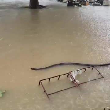 Severe floods in Thailand