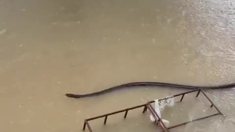Severe floods in Thailand
