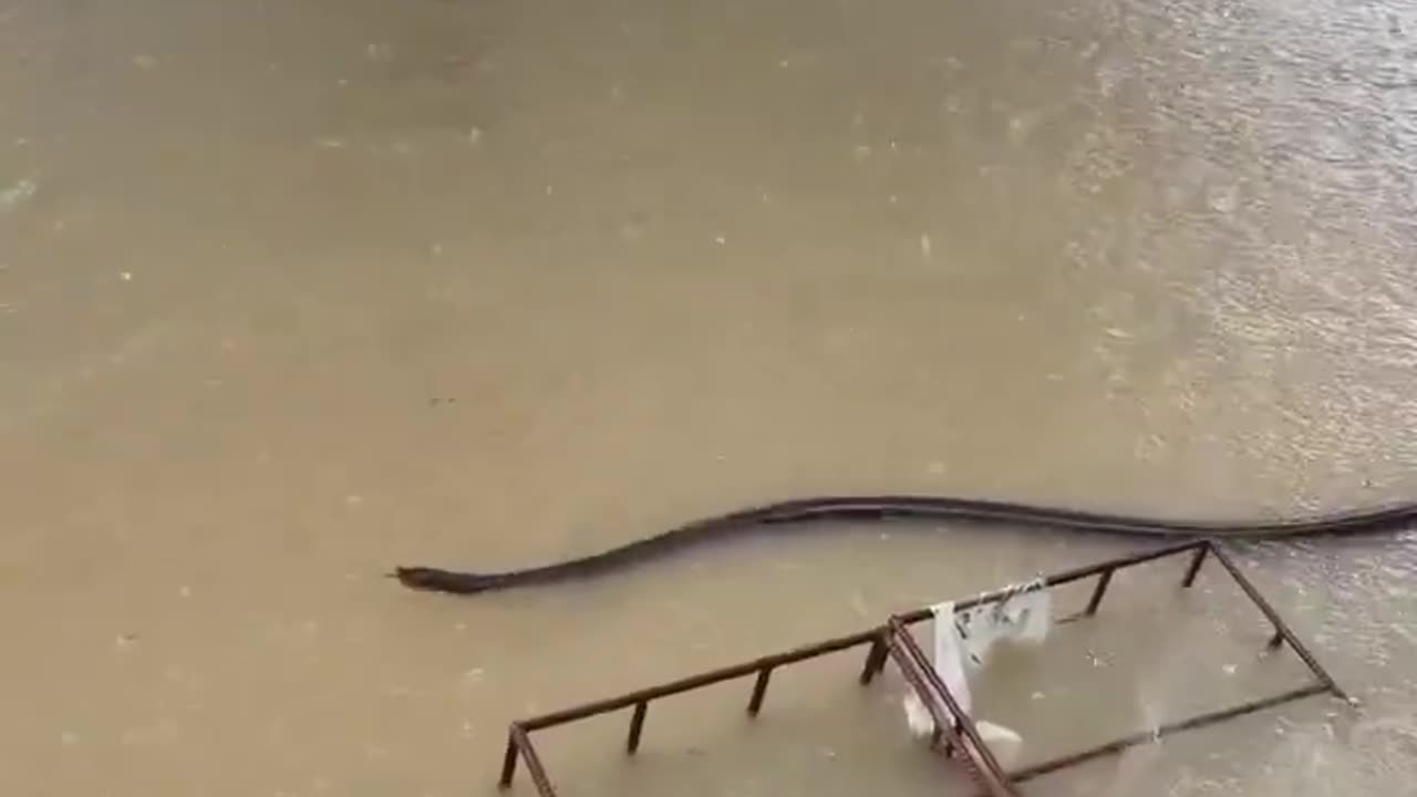 Severe floods in Thailand
