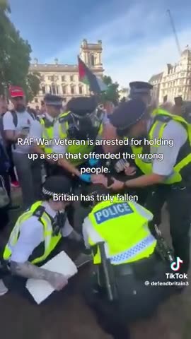RAF veteran arrested by zogbot pigs for holding up a sign