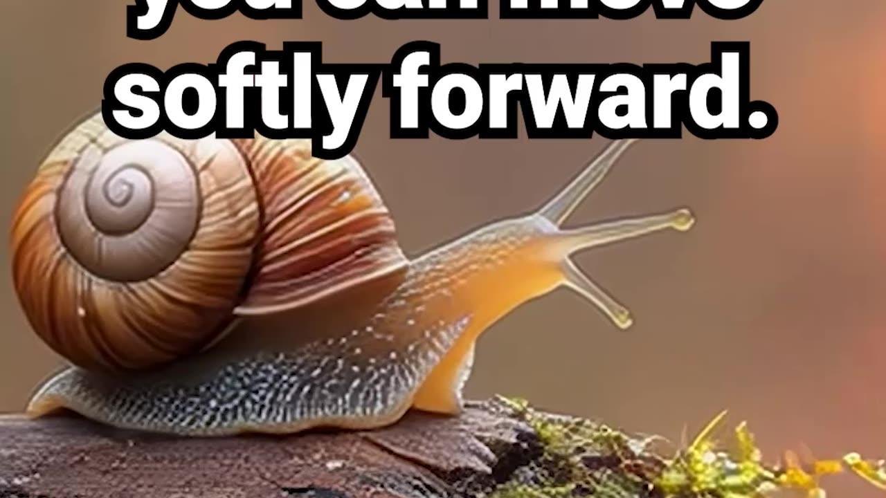 Even on rainy days, you can move softly forward #meditation #relaxingmusic #calmingsounds