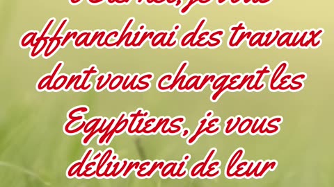 "Dieu Promet la Délivrance d'Israël" Exode 6:6#shorts #youtubeshorts #shortvideo #jesus #ytshorts