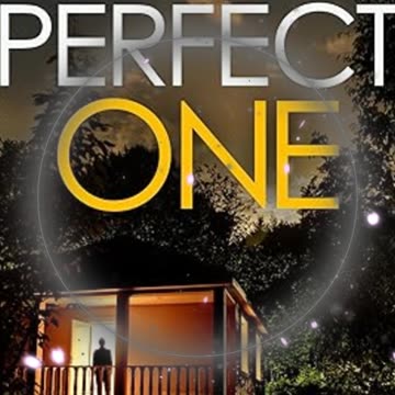 The Perfect One - How Far Would you Go to Prove Your Innocence