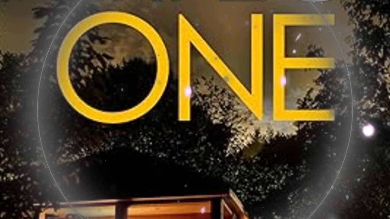The Perfect One - How Far Would you Go to Prove Your Innocence