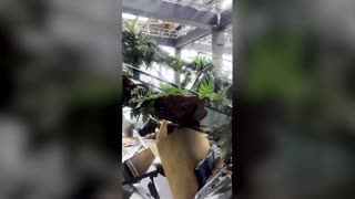 Hurricane Melissa damages roof of Jamaica hotel