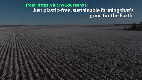 Why Organic Cotton Matters – Your Tote Bag Could Help Save the Planet!