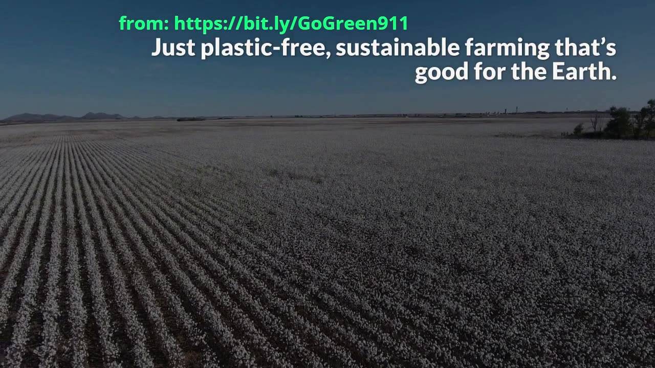Why Organic Cotton Matters – Your Tote Bag Could Help Save the Planet!