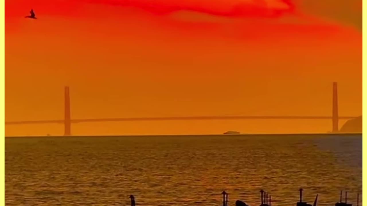 💖My Loves💖#Sanfrancisco #Bayarea