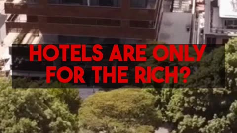 New York Citys Hidden Green Oasis Roosevelt Islands MicroForest Examined