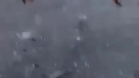 Full video of a Druze family being marched to their execution as their Islamic captors