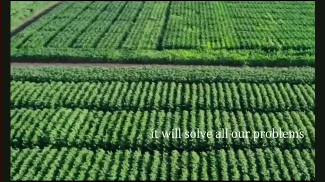 AI has Taken Over and its any minute now apparently. MUST WATCH!!!!